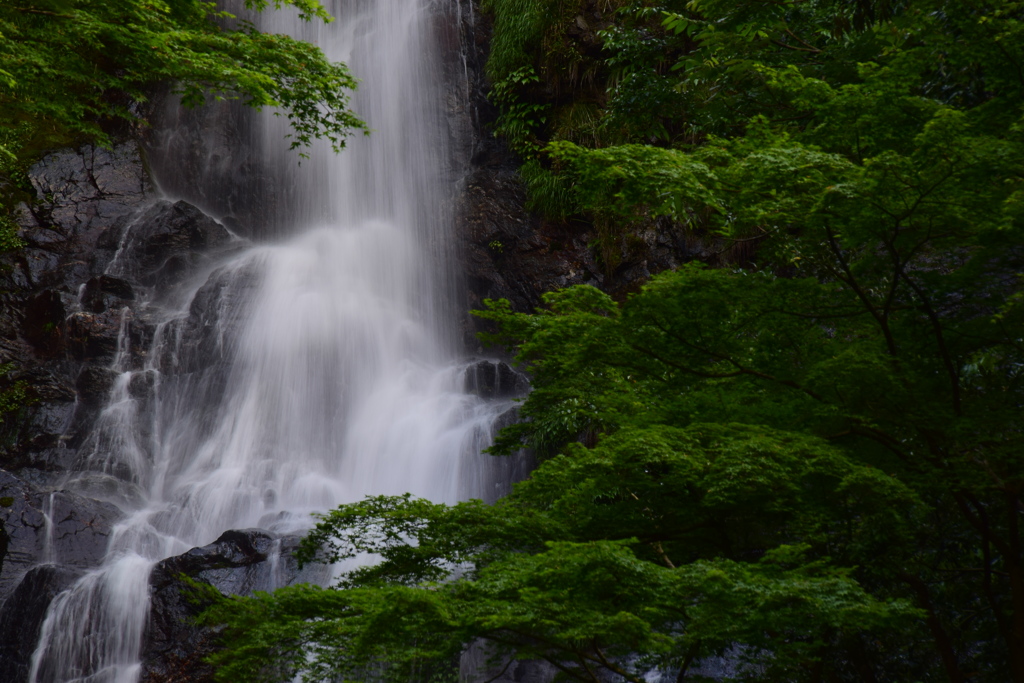 徳島県つるぎ町　鳴滝