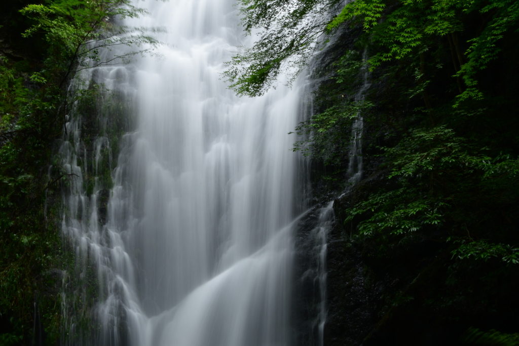雨後の琴瀧