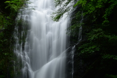 雨後の琴瀧