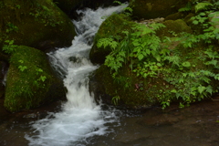 日本の瀧百選　鳥取県　雨瀧