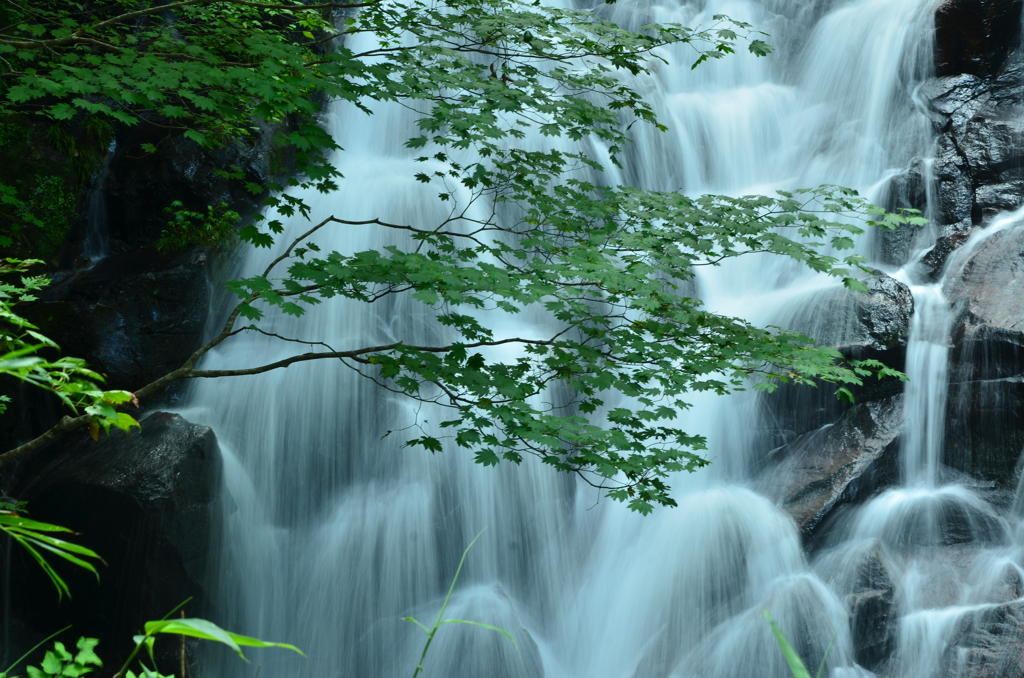 岡山県津山市阿波　布滝（のんたき）