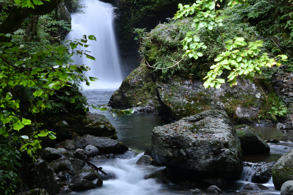 鳥取市佐治　山王渓谷