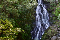 播州の瀧　相生市小河　北峰の瀧