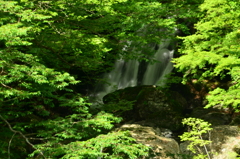 奈良県　魚止めの滝