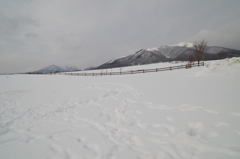 岡山県　冬の蒜山高原