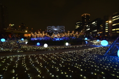 大阪府　中之島公園   夜景