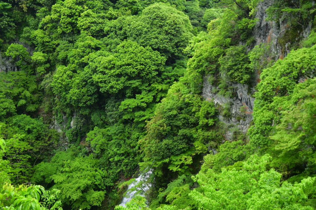 五月雨の箕面大滝