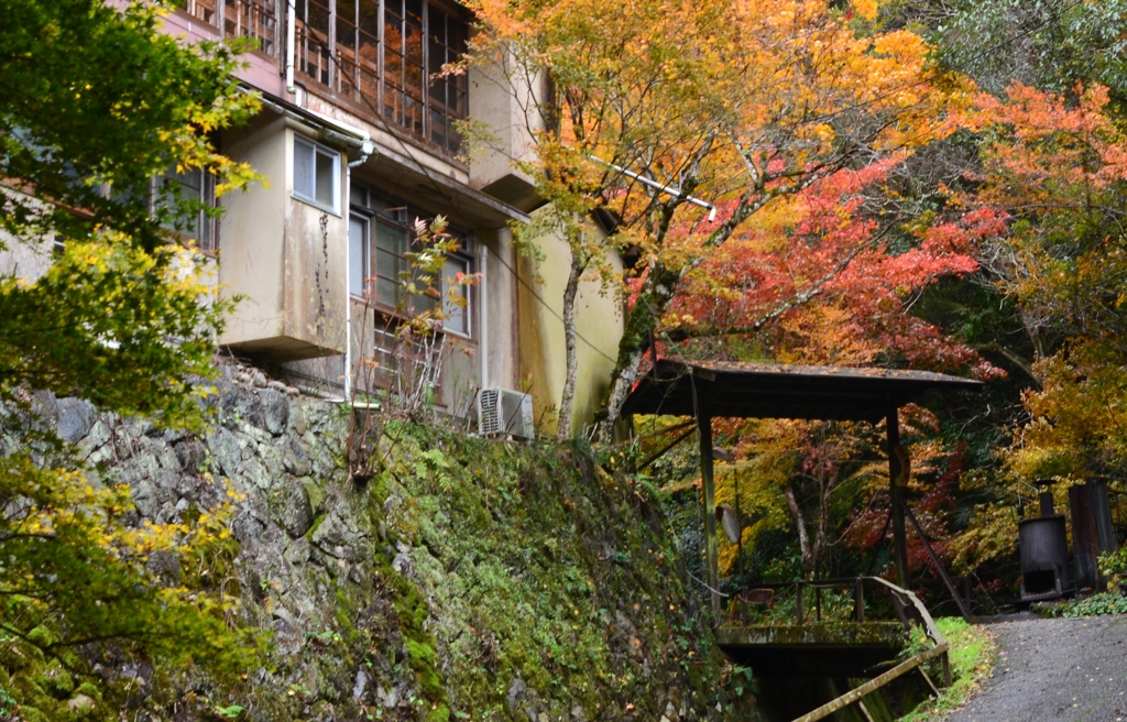 兵庫県　武田尾温泉