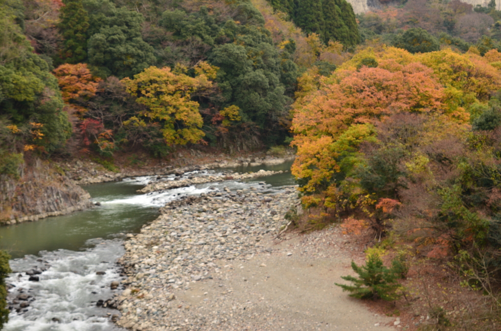 滋賀県永源寺　識蘆の滝