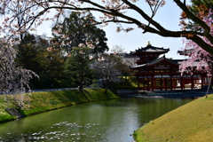 藤原氏の栄華　平等院