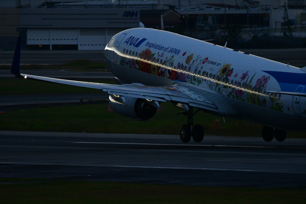 ANA　伊丹空港