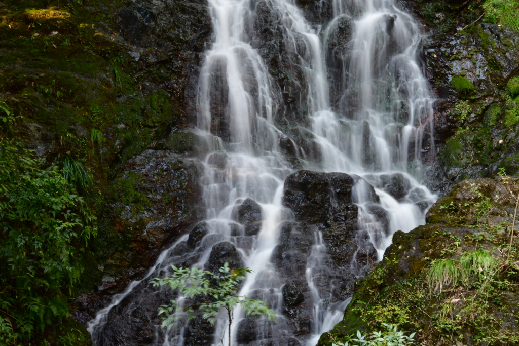 播州の瀧　相生市小河　北峰の瀧