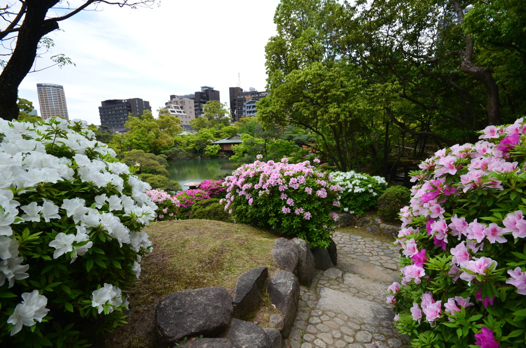 神戸市　相楽園