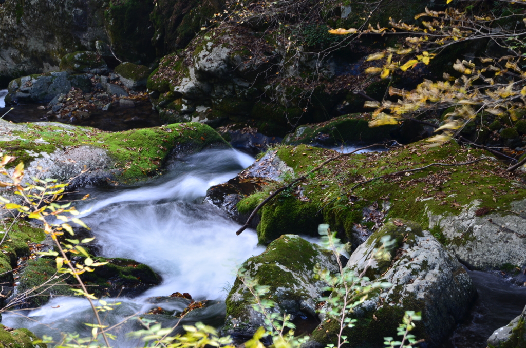 岡山県　鏡野　白賀渓流