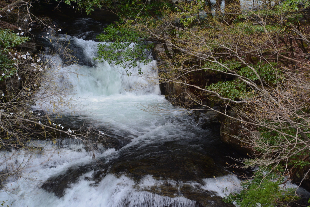 鳥取県智頭町　芦津渓谷　三滝