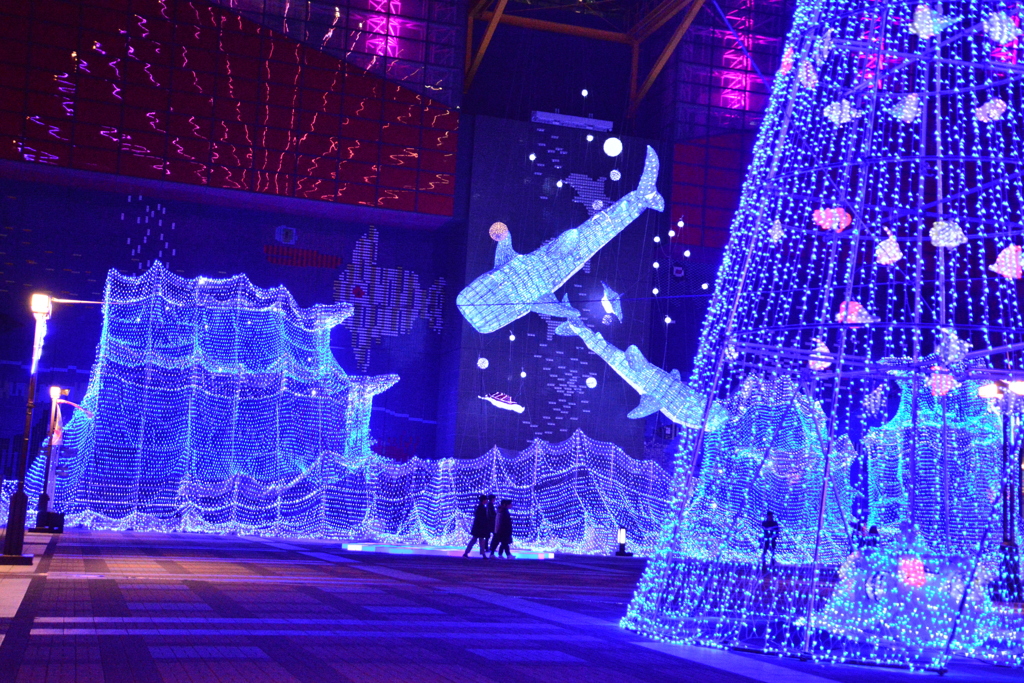 大阪　海遊館２０１７