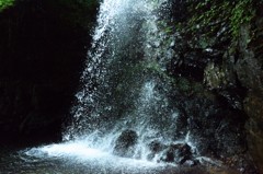 三重県伊賀上野　白藤の滝