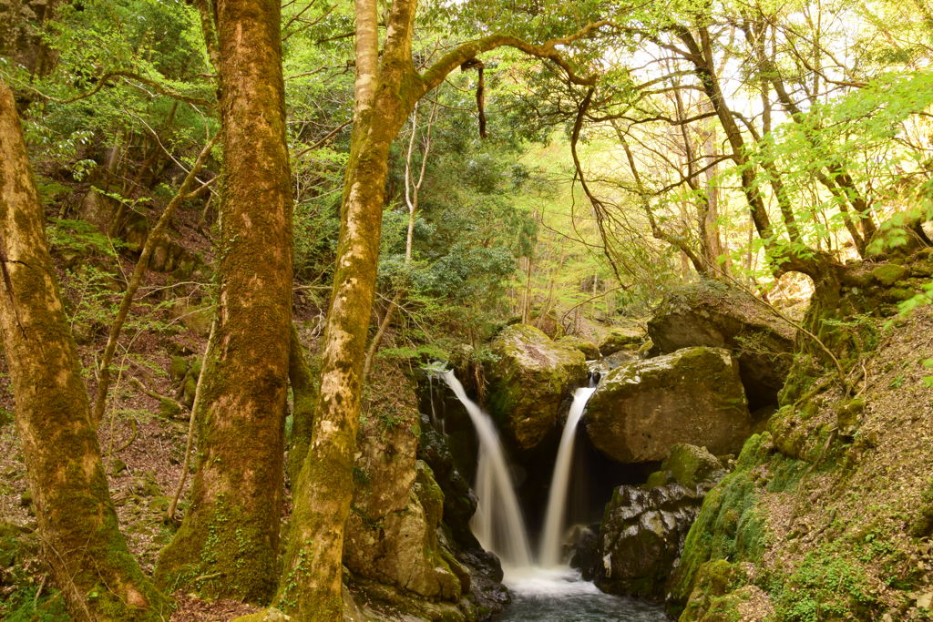 音水渓谷　明神滝落差１０米　２０１７