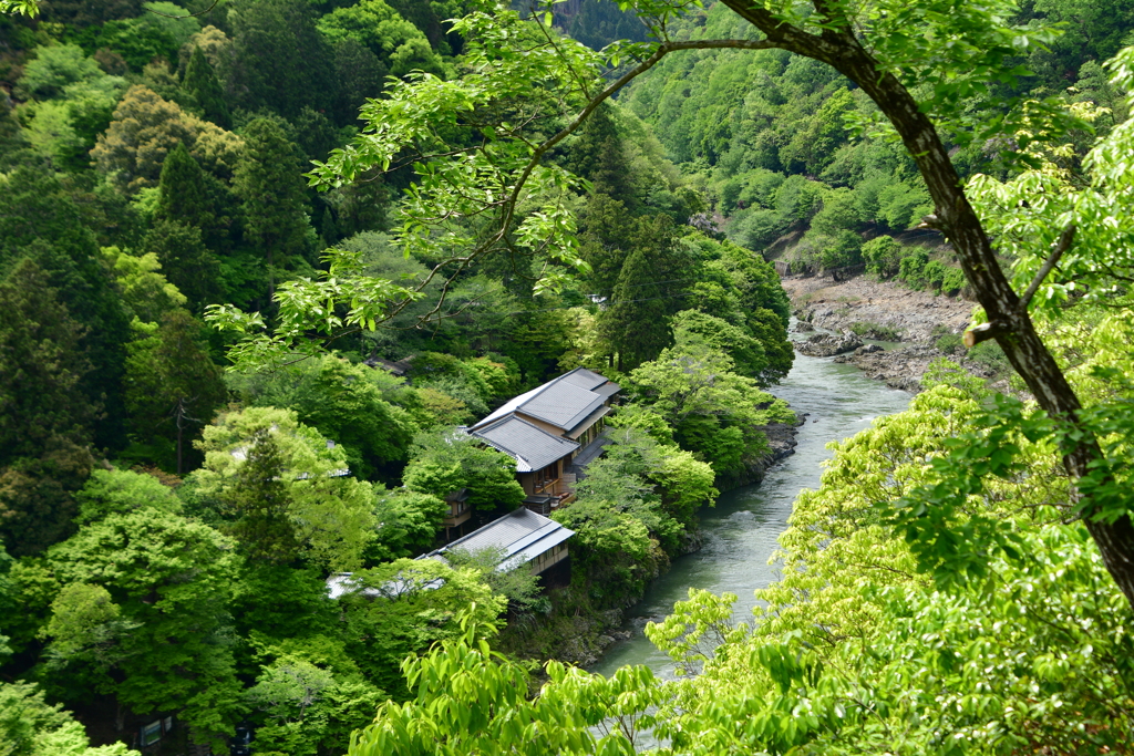 ２０１８新緑の嵐山