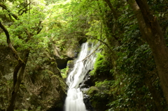 兵庫県　不動滝