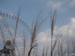 穏やかな一日