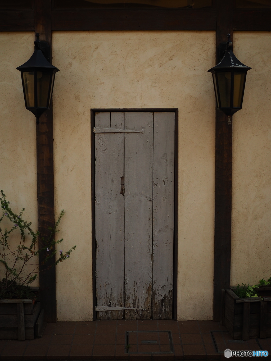 kininaru door
