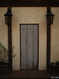 kininaru door