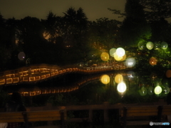 不思議な夜