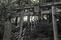 神社の鳥居