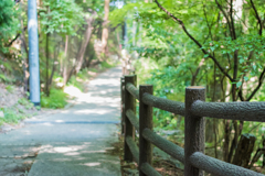 養老の滝への歩道