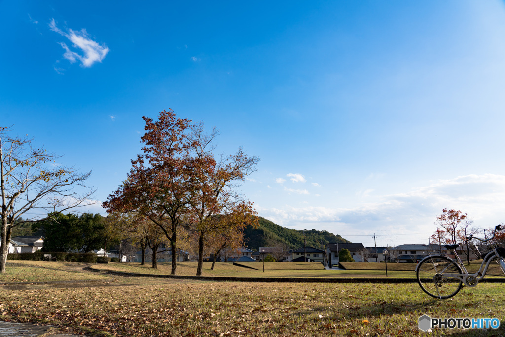 近所の公園Ⅱ