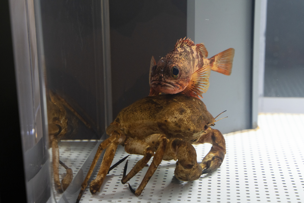 廃校水族館　05