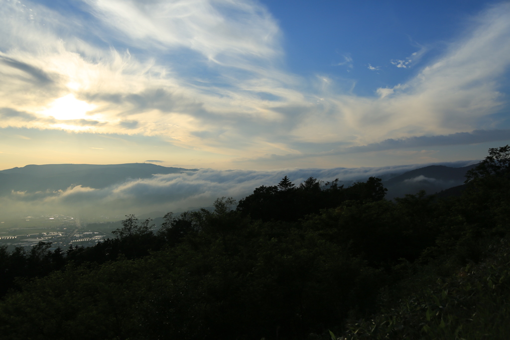 空　雲　林