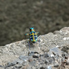 DSC0453220180812