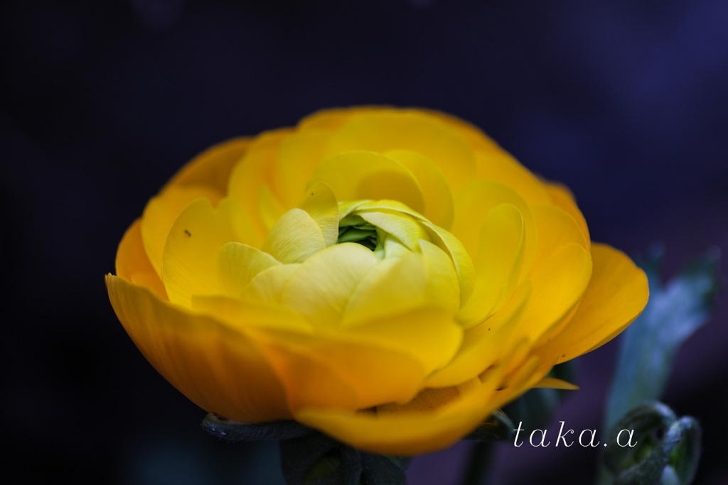 2M6A504620190223