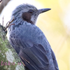 IMG_161620191113