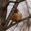 IMG_479620181209