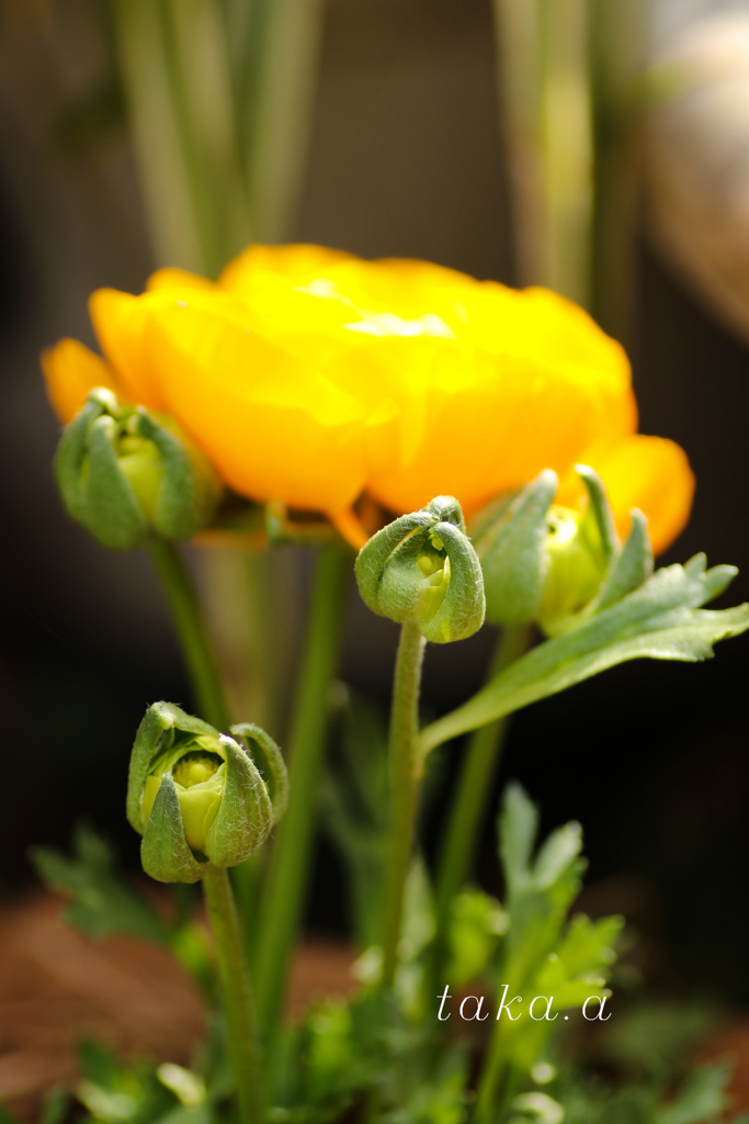 IMG_756720190301