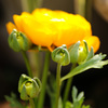 IMG_756720190301