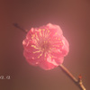 IMG_696520190205