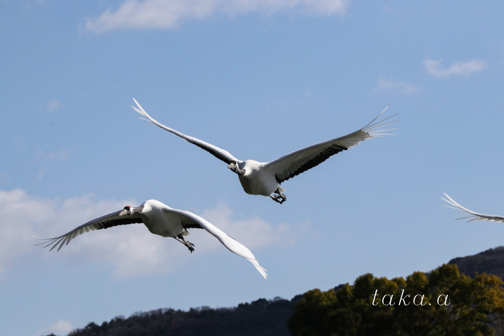 IMG_590120190103