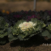 IMG_671320190126