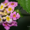 IMG_359920180921