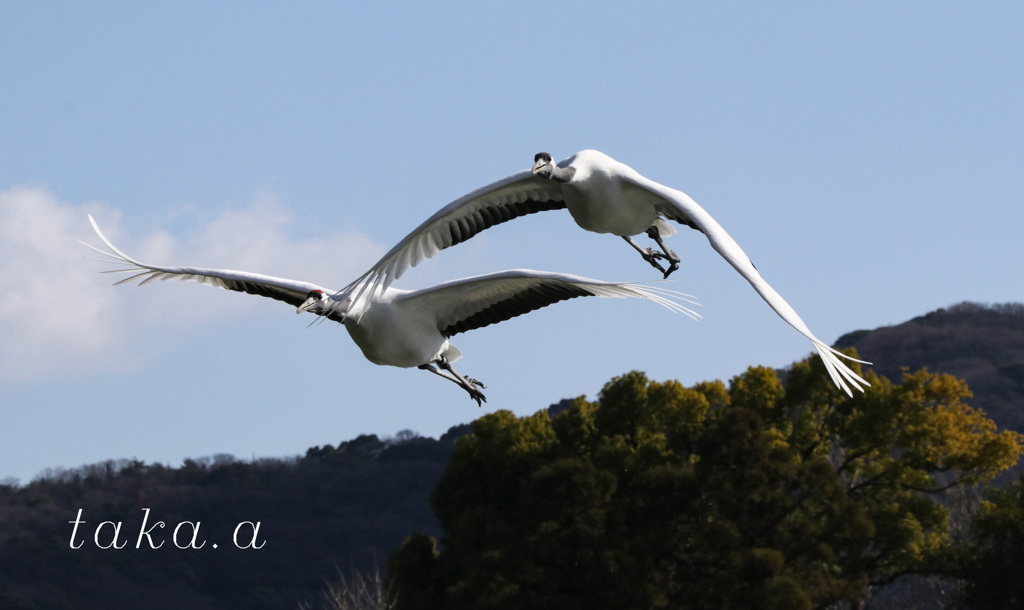 IMG_590020190103