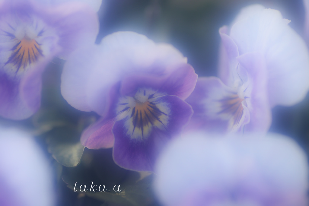 IMG_753620190226
