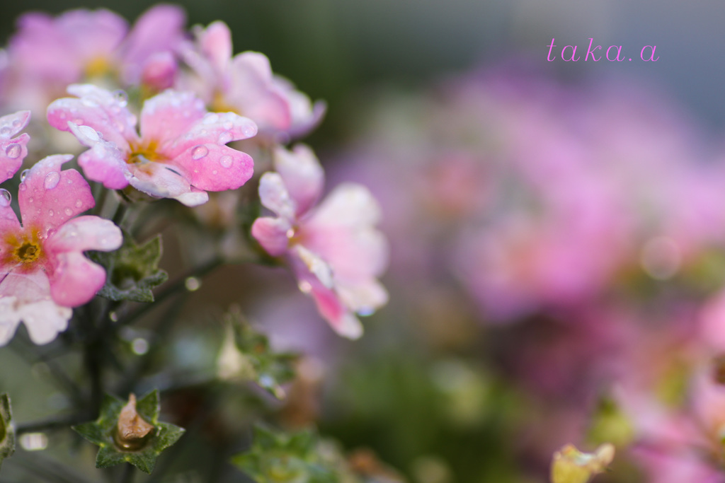 IMG_765720190324