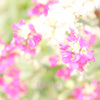 IMG_689520190202
