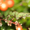 IMG_394020181216
