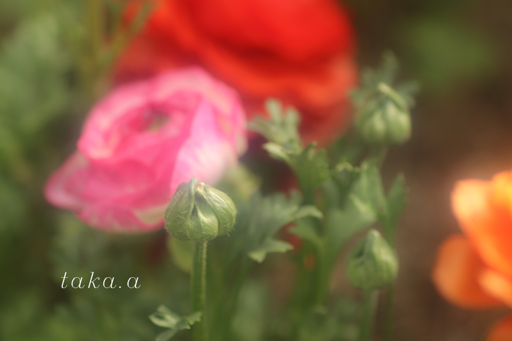 IMG_760220190301