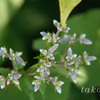 DSC0476920180814